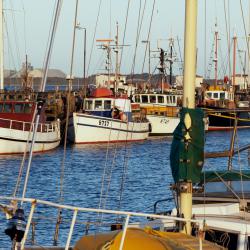 Bluff Fishermans Wharf
