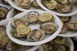 Oysters
